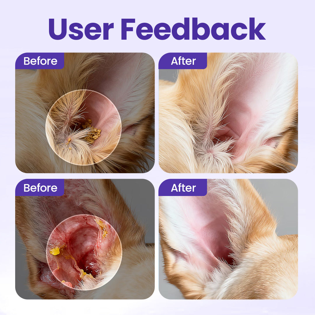 WaxLift Pet Ear Cleaner 🔥