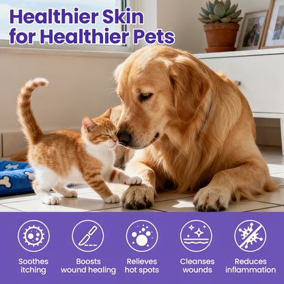 WaxLift Pet Ear Cleaner 🔥