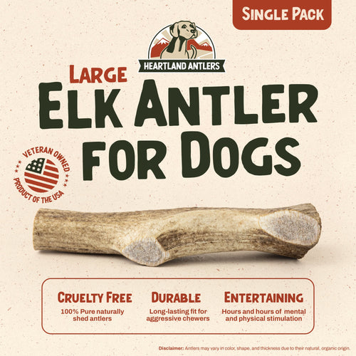 Elk Antler Chew - Large (Dogs 45-65 lbs)