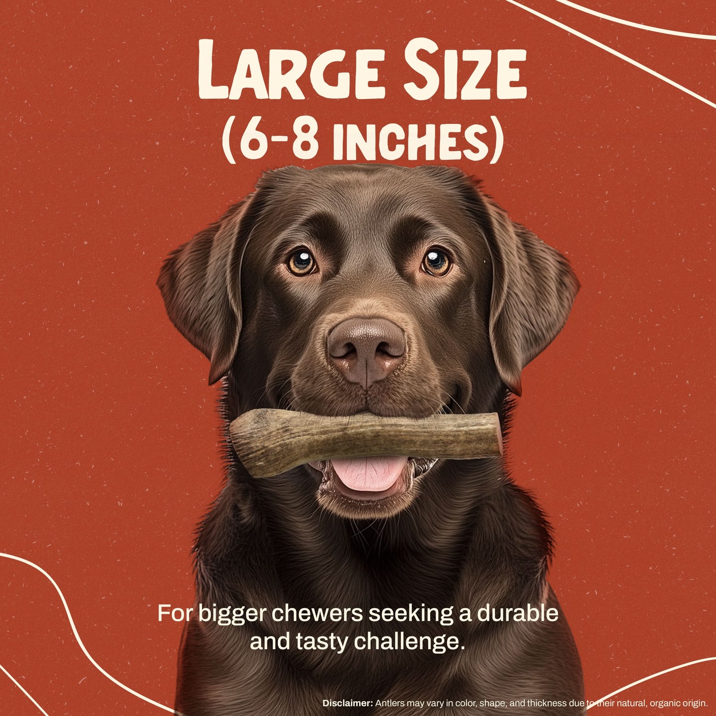 Elk Antler Chew - Large (Dogs 45-65 lbs)