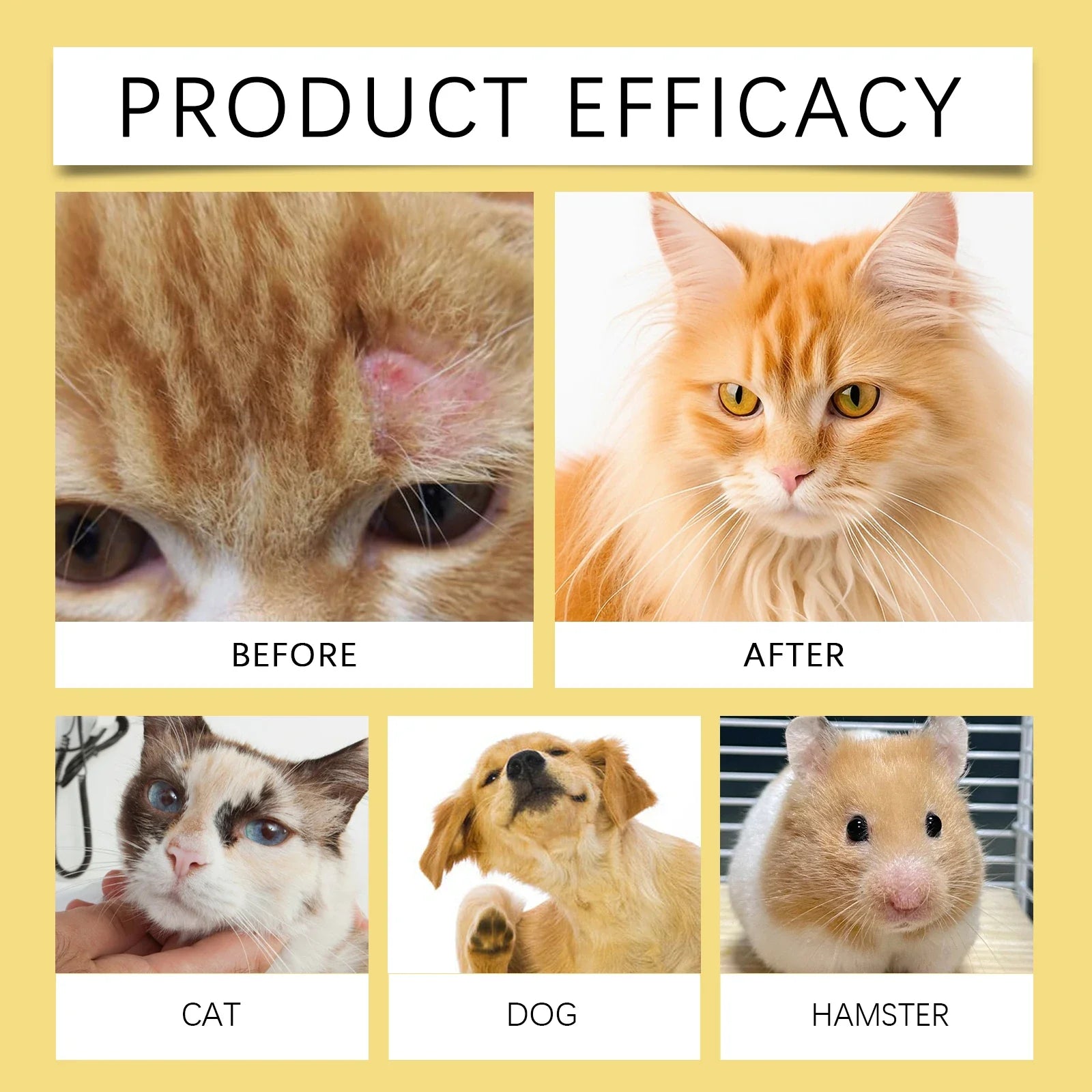 Skin Care Spray - The Fur Lounge