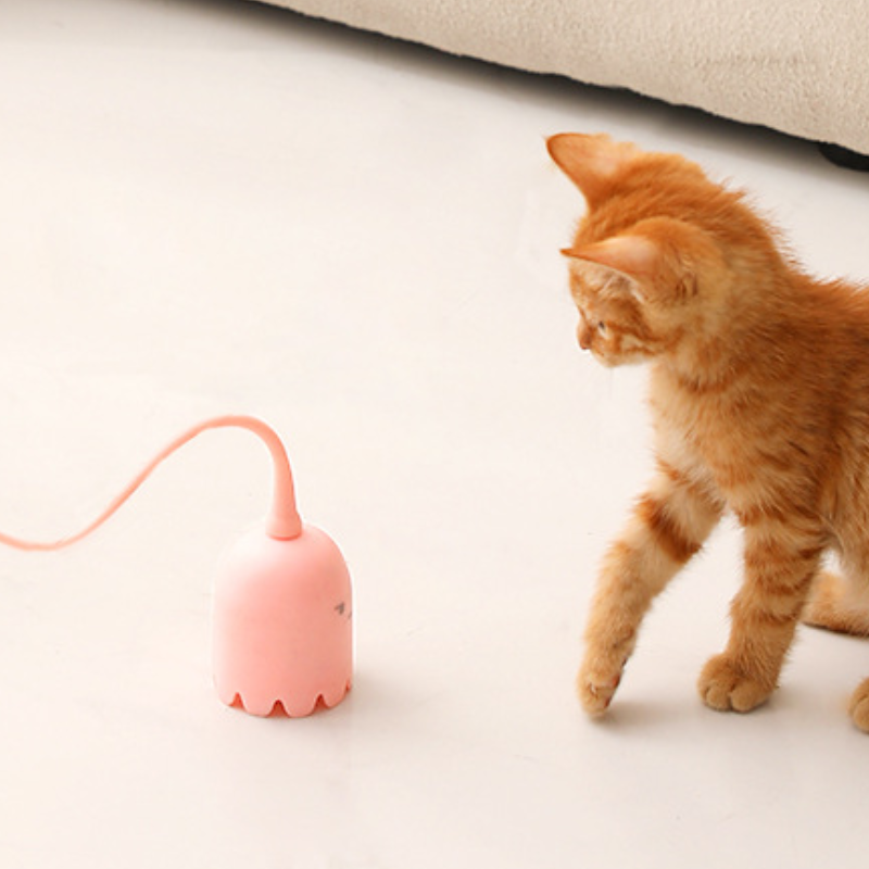 🐾CAT TOY Magical Tail FUNNY Magical Tail