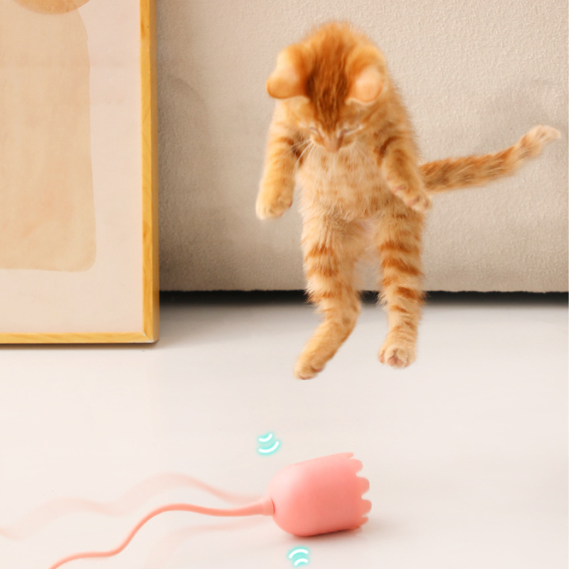 🐾CAT TOY Magical Tail FUNNY Magical Tail